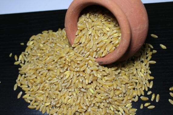 Bansi Wheat 2