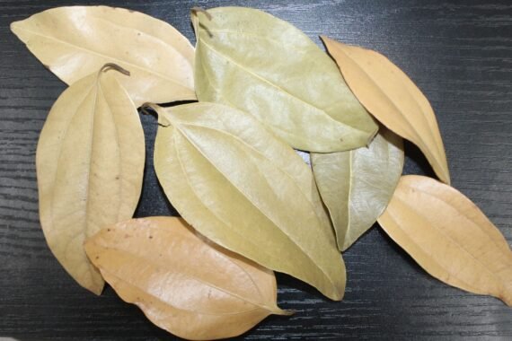 Bay Leaves 1