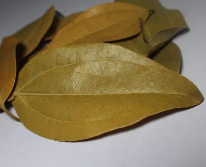 Bay Leaves 3 scaled