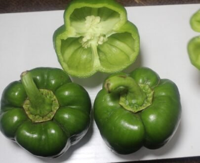 Capsicum 2 scaled