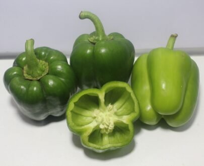 Capsicum 3 scaled