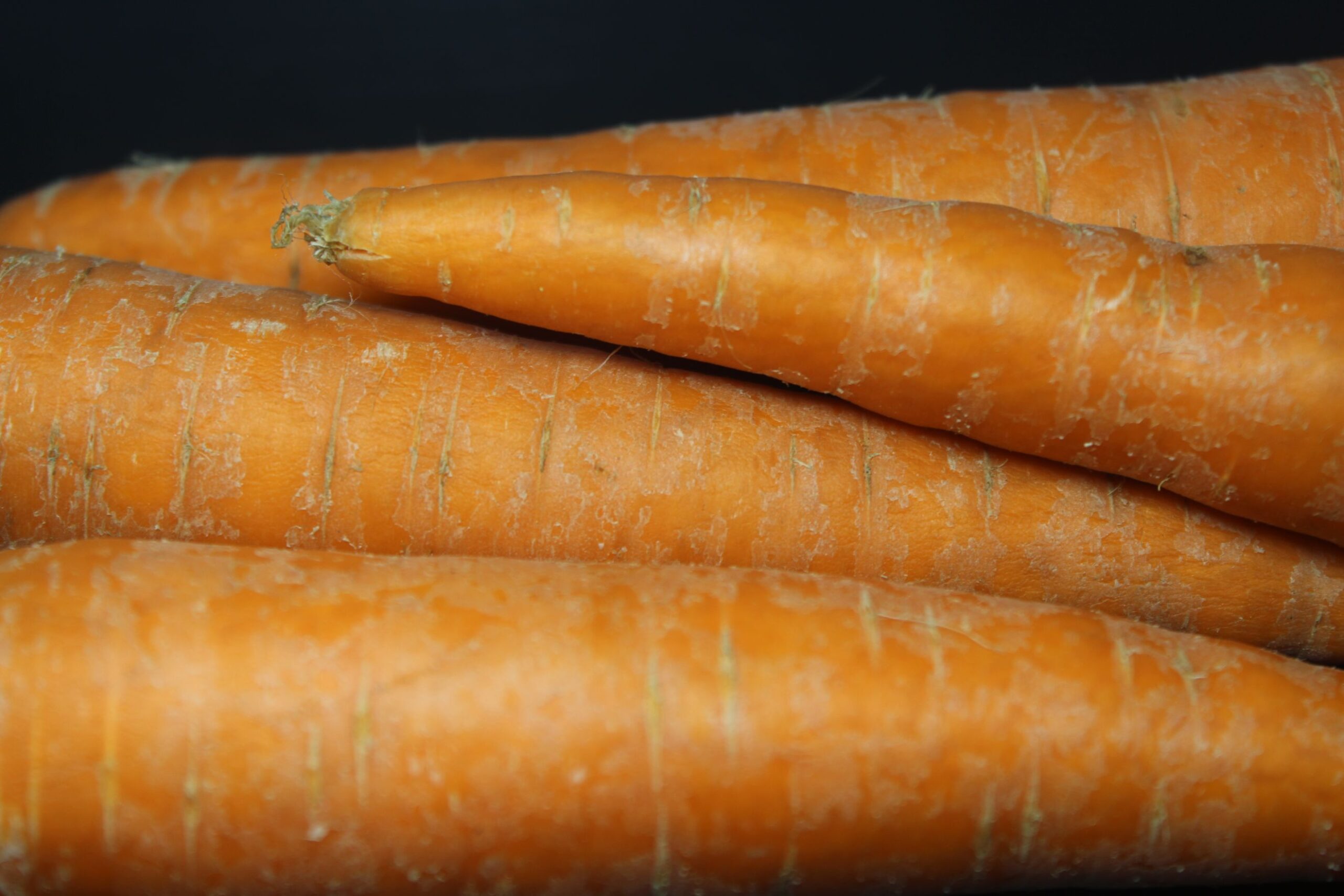 Carrot Orange - गाजर - Sarkhot Natural Farms