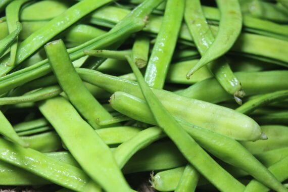 Cluster Beans 1