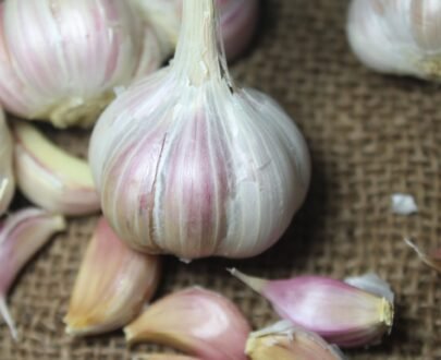 Gavran Gulabi Garlic 2 scaled