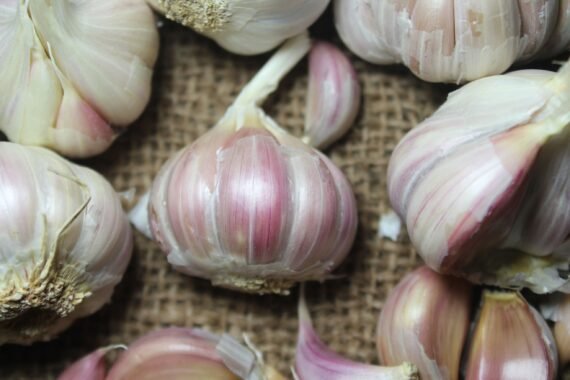 Gavran Gulabi Garlic