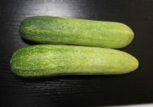 Green Cucumber 3