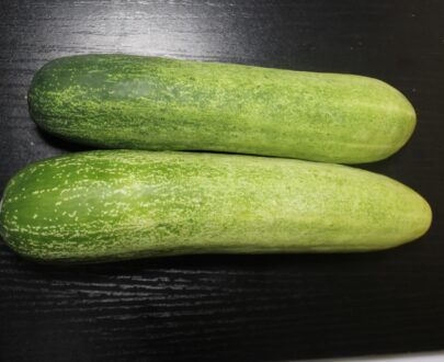 Green Cucumber 3