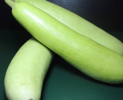 Bottle Gourd Natural