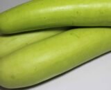 Bottle Gourd Chemical Free