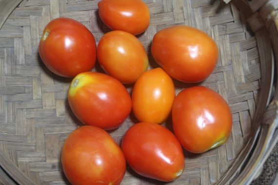 Natural Tomato