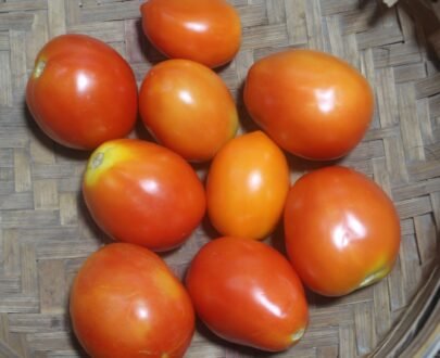 Natural Tomato