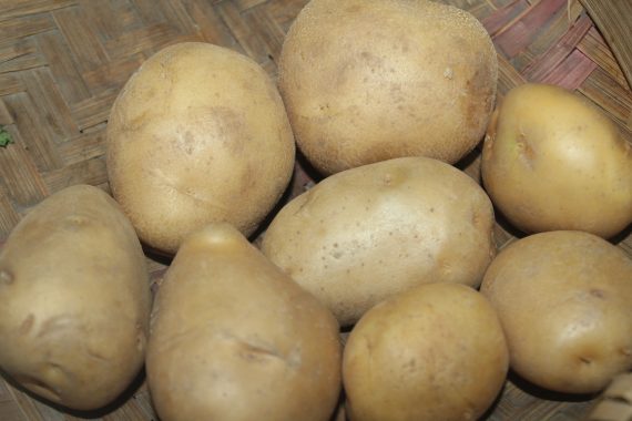 Potato Natural
