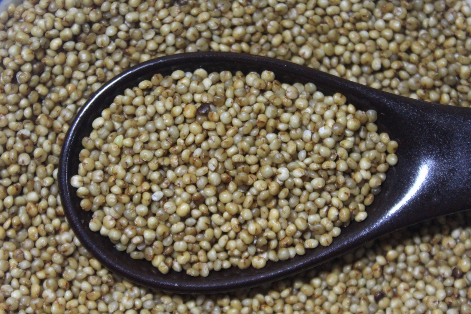 kodo-millet-unpolished-sarkhot-natural-farms