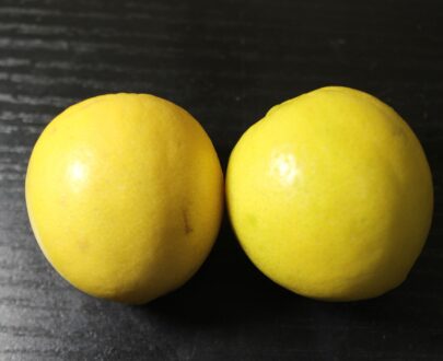 Lemon 3 scaled
