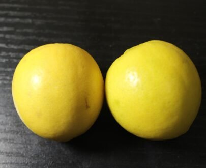 Lemon 3 scaled