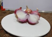 Onion organic scaled