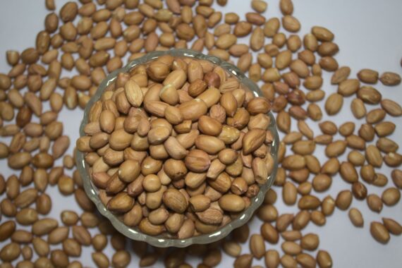 Seeds Ground Nut 3