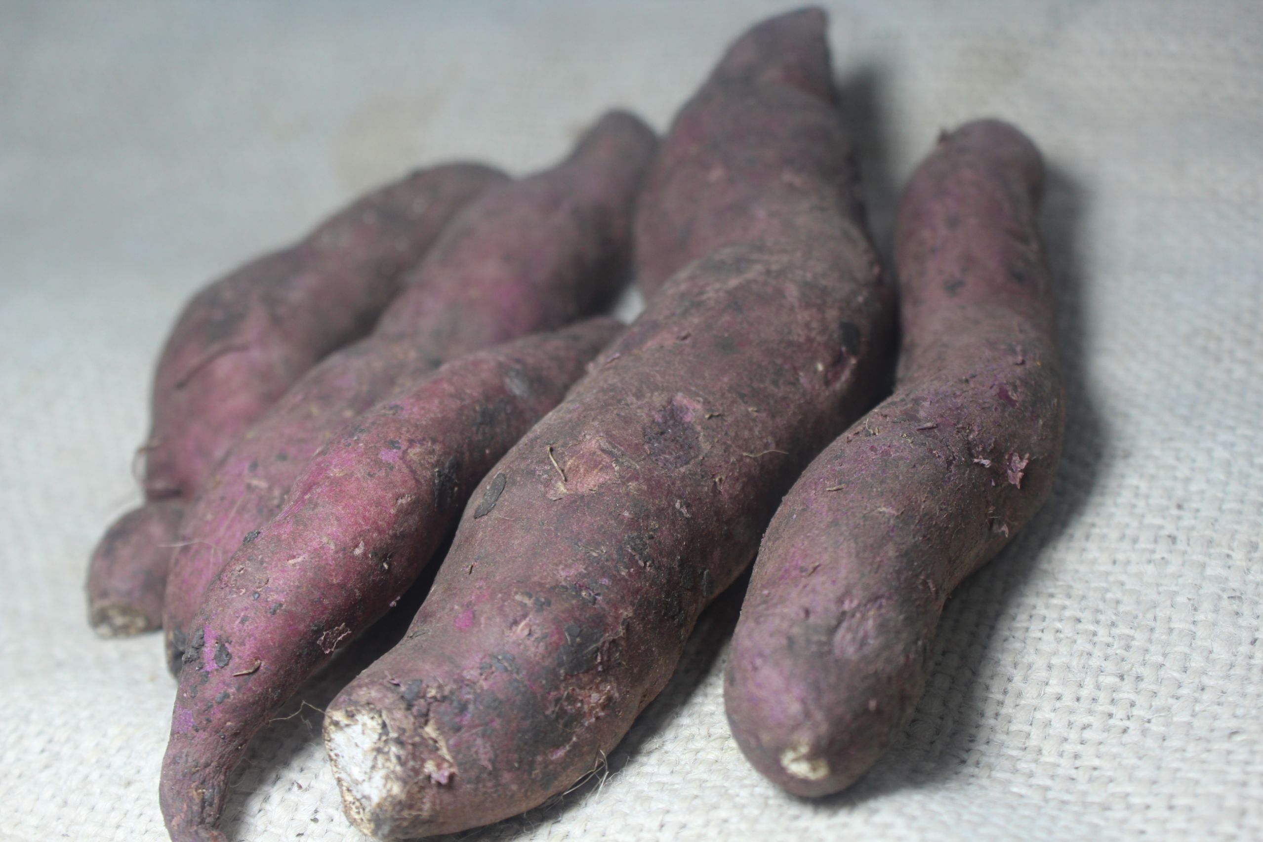 Sweet Potato - रताळे | शकरकंद - Sarkhot Natural Farms