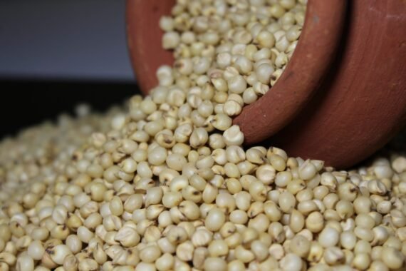 Millet Sorghum Jowar Organic