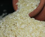Tibar Basmati Rice Organic