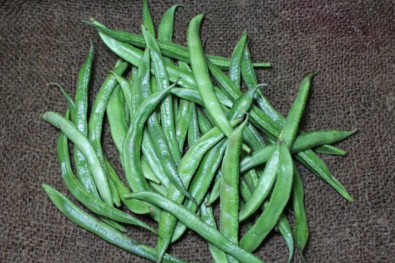 Broad beans, Organic broad beans