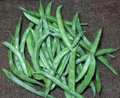 Broad beans, Organic broad beans