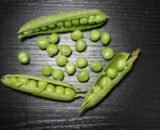 Green peas