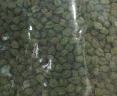 Green Chana, Organic Green Chana, Naturally grown Green Chana