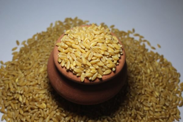 Bansi Wheat बन्सी गहू