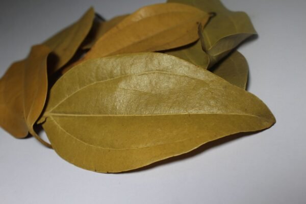 Bay Leaves | Cassia leaf | Tej patta - तेज पत्ता