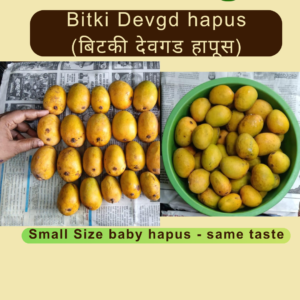Bitki Baby Hapus, Small hapus, Devgad Hapus, Bitki Mango, Alphonso, Devgad Mango,