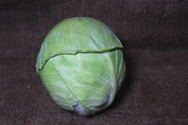 Cabbage कोबी / बंदगोभी - Image 3