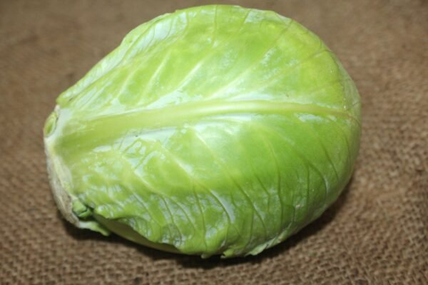 Cabbage कोबी / बंदगोभी - Image 2