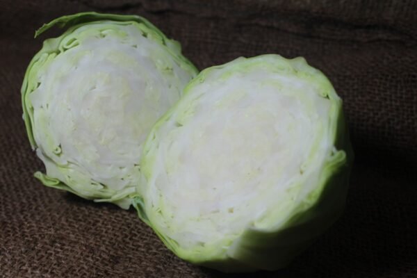 Cabbage कोबी / बंदगोभी