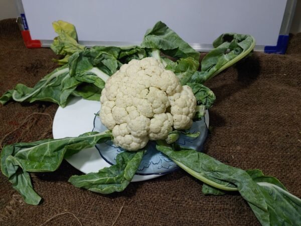 Cauliflower फ्लॉवर | फूलगोभी - Image 2