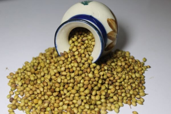 Dhaniya sabut / Coriander seeds – धने /धनिया साबुत - Image 2