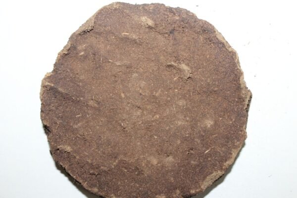 Deshi Gir Cow Dung cake देशी गाईची गोवरी / गोबर की खली - Image 3