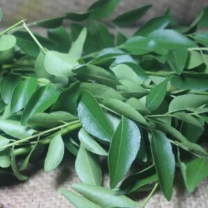 Curry Leaves