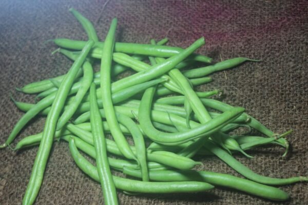 French beans फरसबी | फण्सी - Image 2