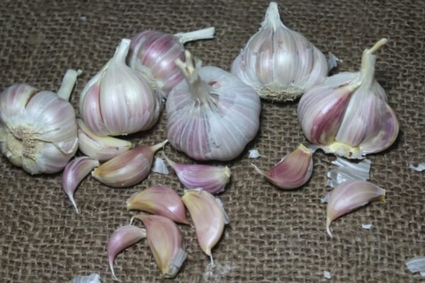 Fresh Deshi Pink Garlic | Lasun - गावरान गुलाबी लसूण (Premium quality) - Image 3