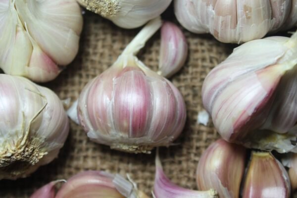 Fresh Deshi Pink Garlic | Lasun - गावरान गुलाबी लसूण (Premium quality)