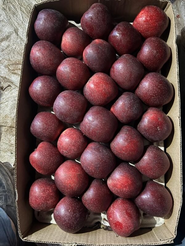 Organic apples, Apples, Chemical Free Apples, SPNF Apples,