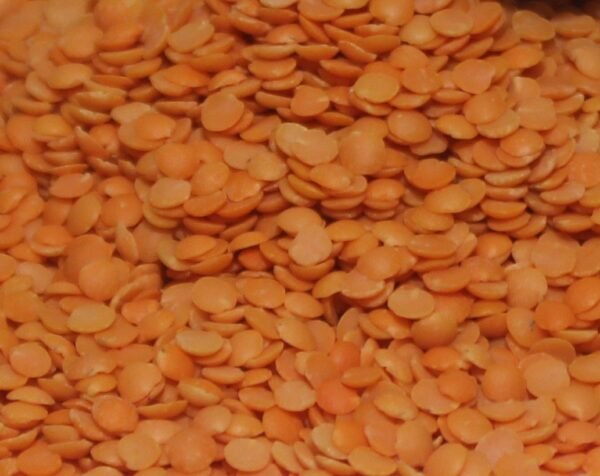 Masoor Dal Unpolished / Red Lentils - मसूर डाळ, लाल डाळ - Image 2