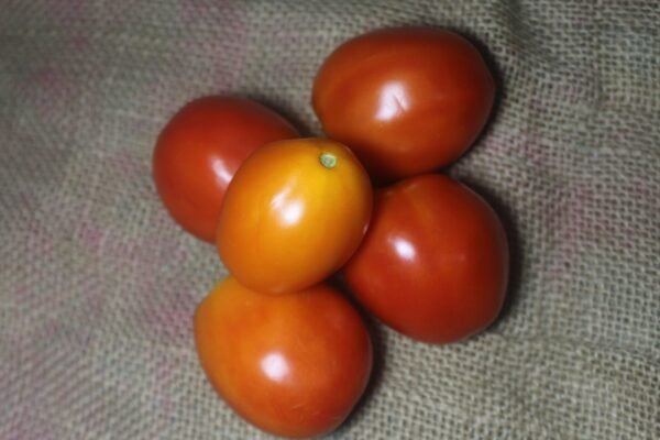 Tomato - टमाटे | टमाटर - Image 2