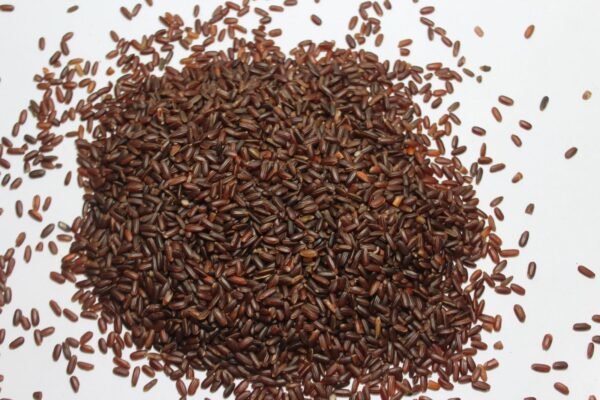 Raktashali Red rice रक्तशाली लाल तांदूळ