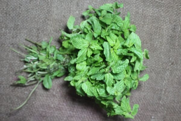 Mint Leaves - पुदीना - Image 2