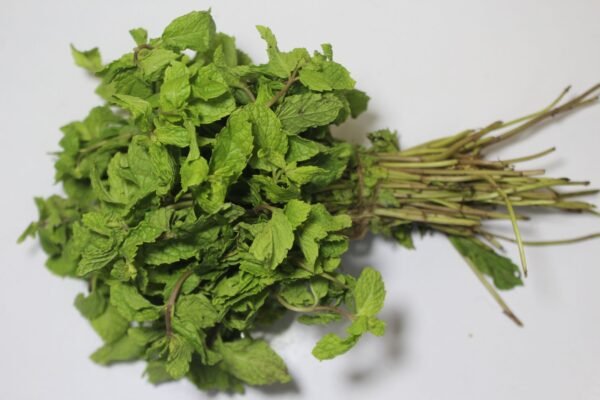 Mint Leaves - पुदीना