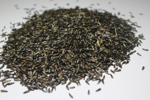 Niger seeds खुरासनी - Image 2