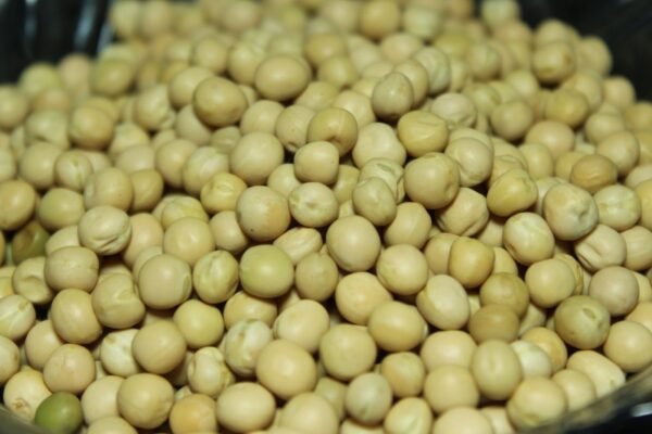 White Peas सफेद वाटाणा / सफेद मटर - Image 3