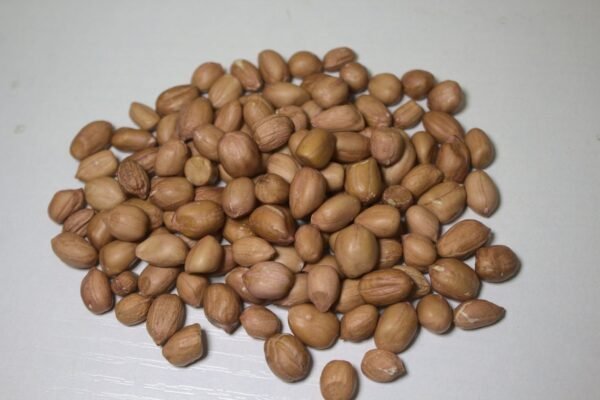 Groundnut / Peanut शेंगदाणे / मूँगफली - Image 2